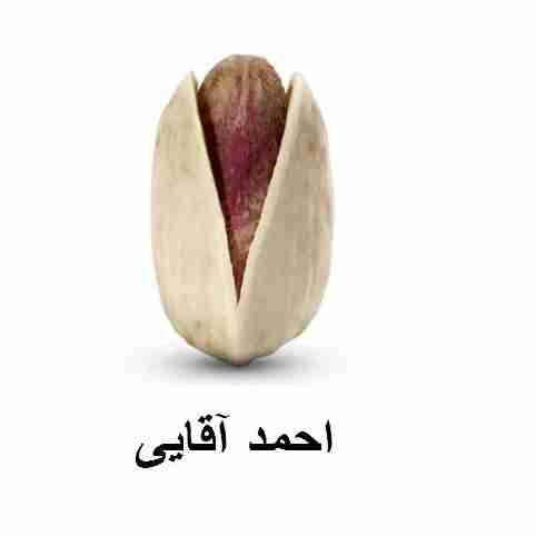 فستق أحمد آقايي