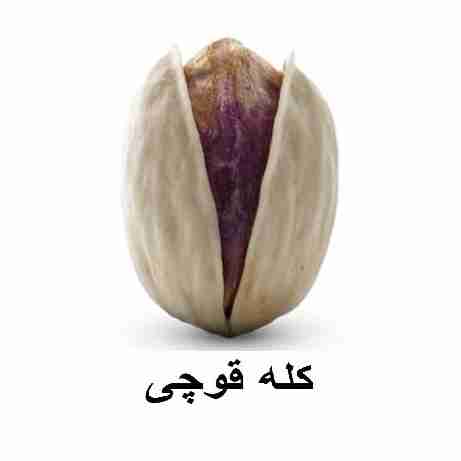 رأس الفستق رام