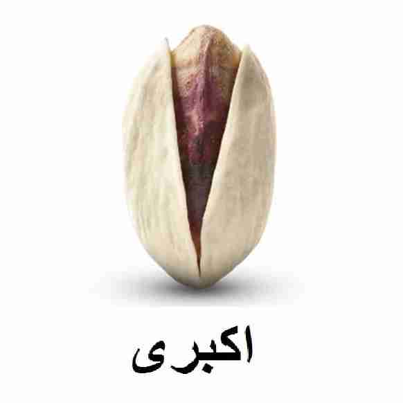 پسته اکبری